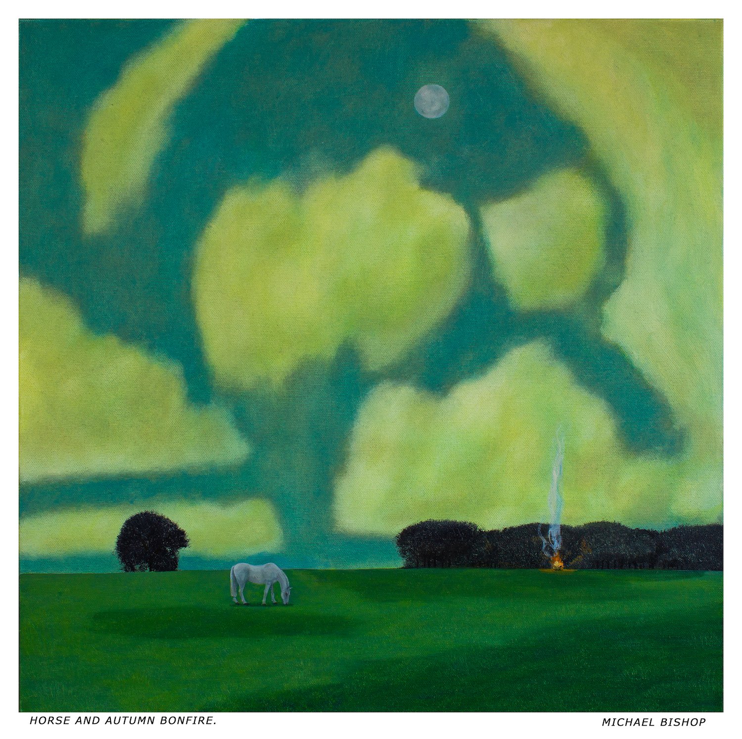 Horse and Autumn Bonfire