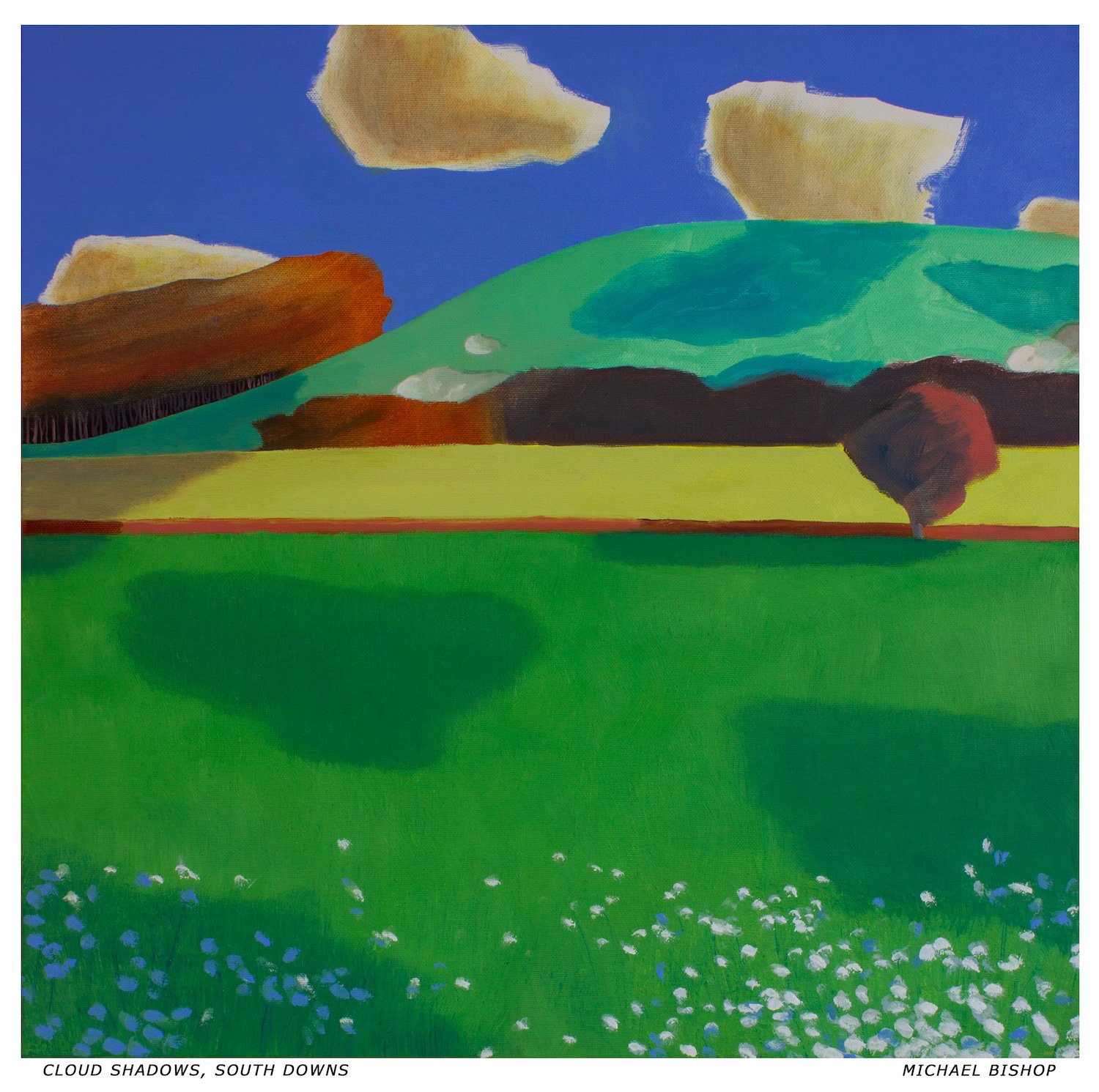 Cloud Shadows, South Downs