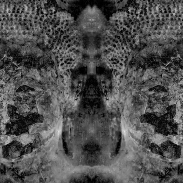 RA_AB_Buddha_Plate_020