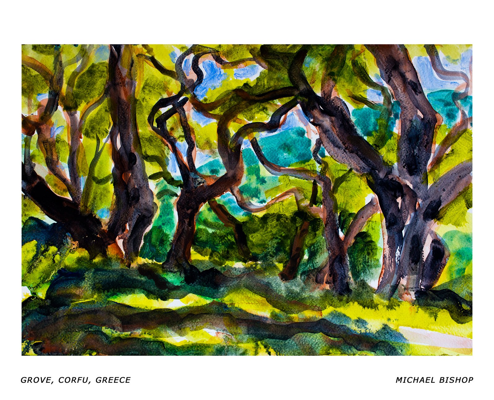 83_RA_MB_Grove, Corfu, Greece