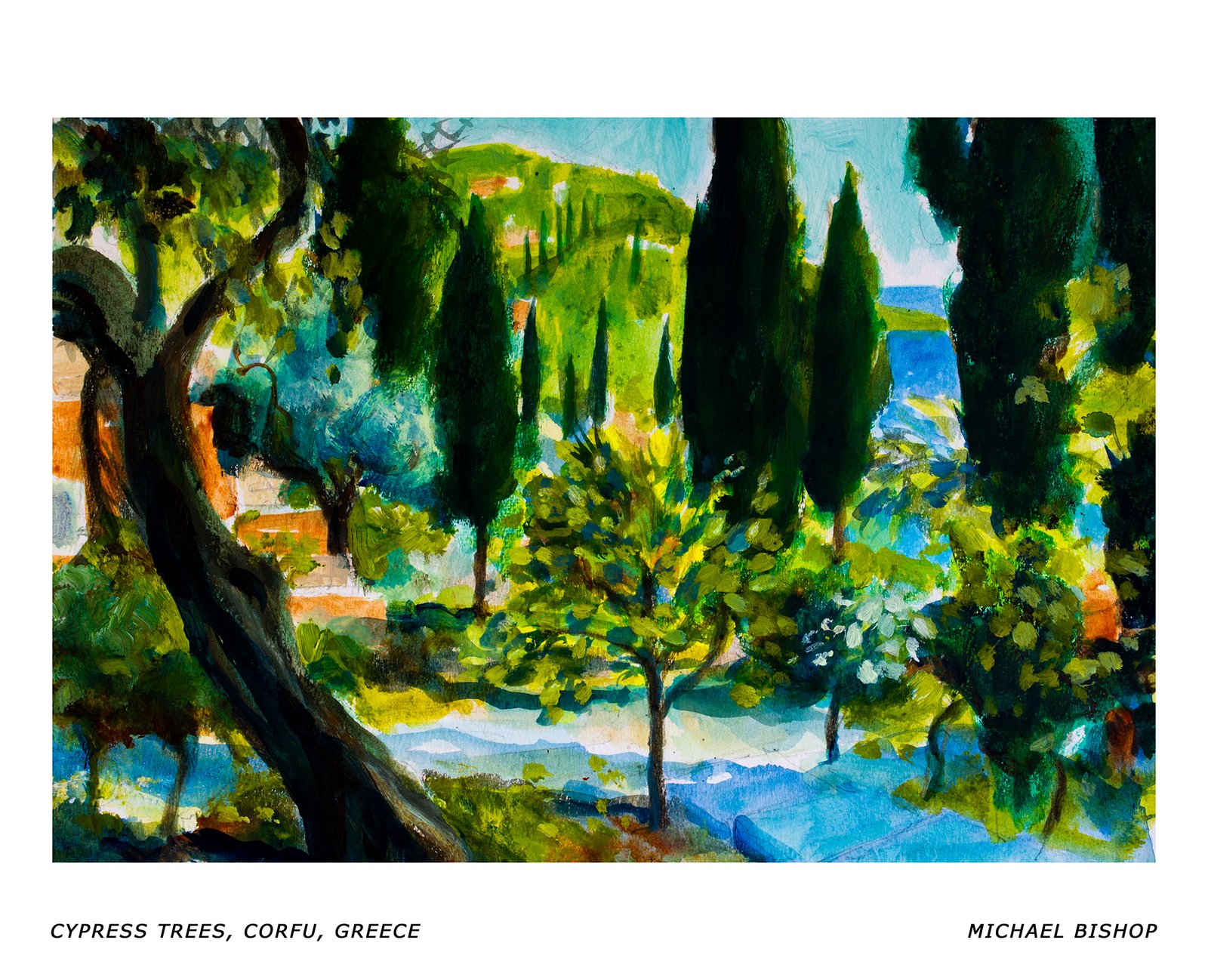 86_RA_MB_Cypress Trees, Corfu, Greece